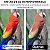 Tinta Recarga Cartucho Colorida Para Hp Impressora 2774 2874 667 664 662 122 60 75 - Imagem 4