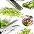 Tesoura De Cozinha Cortador De Verduras Temperos 5 Lâminas - Imagem 8