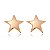 BRINCO ESTRELA FOLHEADO A OURO 18K - Imagem 1