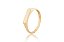 ANEL RETANGULAR LISO OURO 18K AU21/9/60 - Imagem 1
