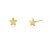 Brinco estrela pequena folheado a ouro 18k - Imagem 1
