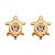 BRINCO TARTARUGA DE CRISTAL FOLHEADO A OURO 18K - Imagem 1