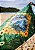 Canga floral bandeira do Brasil - Imagem 2
