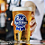 Cerveja Pabst Blue Ribbon 350ml - Pague 10 e leve 12 unidades - Imagem 3