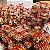 Caixa Royalle - Snacks e Bebida - Imagem 4