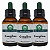 3 Extratos de Gengibre - 60ml - Imagem 1