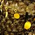 Dança do Ventre Lenço Cinto Quadril Luxo Lindos Detalhes - LQL20 - Imagem 10