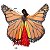 Véu Wings Asas De Borboletas Dança Do Ventre Com Varetas Aberto - VEU-WINGS7 - Imagem 4