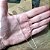 Corrente 1,5mm Cadeado 50cm - Imagem 5