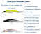 Isca Artificial para Tucunaré Jack Minnow 85 Meia Água - Imagem 5