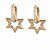 Brinco Folheado 18k Oval com Zirconia Frontal e Estrela Lisa - Imagem 3
