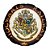 Almofada 3D Hogwarts Railways Aveludada Oficial Harry Potter - Imagem 1