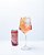 Rosé de Verano Lata 269mL - Imagem 2