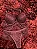 Conjunto lingerie calcinha e sutiã - Imagem 16