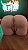 8034 Masturbador BUNDA 3kg - Imagem 8