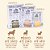 Kit Literatura & Arte - Imagem 7