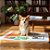 Kit Literatura & Arte - Imagem 2
