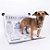 Kit 2  Diários Canino Médio Tradicional 5ª Ed. (60x88cm) - Imagem 5