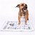 Kit 2 Diários Canino Mini Tradicional  5ª Ed. (40x58 Cm) - Imagem 3