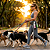 Dog Walker Profissa - Imagem 2