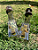 Estribo INOX - Cruz Dourado - Imagem 5