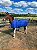 Capa De Frio Para Cavalo P, M e G - Imagem 17