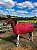 Capa De Frio Para Cavalo P, M e G - Imagem 5