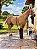Bota De Tratamento Gelo Ice Boot Dianteira - Boots Horse - Imagem 2