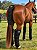 Kit Protetor de Viagem Boots Horse - Para Cavalos - Imagem 2
