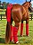Kit Protetor de Viagem Boots Horse - Para Cavalos - Imagem 6