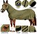Capa Legging para Cavalos - Boots Horse - Imagem 17