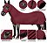 Capa Legging para Cavalos - Boots Horse - Imagem 8