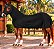 Capa Legging para Cavalos - Boots Horse - Imagem 27