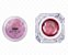 spider gel helen color rose gold decoração unhas - Imagem 1