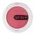 BLUSH COMPACTO SAFIRA LINHA BASIC  N 04 - MARSALA - Imagem 1