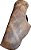 G3 TORO Velado Horse Telha Coldre Pistola - Imagem 3