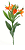 Alstroemeria Galho X5 Flores 60cm - Imagem 1