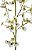 Orquídea Oncidium Branca 99cm - Imagem 2