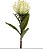 Protea Spray Com Folha Branco - Imagem 1