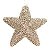 Pendente Estrela Champagne - Imagem 1