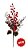 Haste Berry Com Pinha - Imagem 1