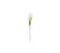 Haste De Foxatil Creme 70cm - Imagem 1