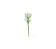Flor De Cenoura Branco 65cm - Imagem 1