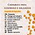 Kit de Carimbos para Salgados e Coxinhas - 11 modelos - Imagem 2