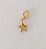 Pingente Estrela Lisa P - Imagem 1