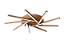 Plafon SPIN - Imagem 6