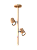 Plafon ROUND PLUS DUPLO - Imagem 6