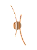 Arandela PISCES - Imagem 10