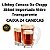 Kit 24 x Canecas De Chopp 355ml Cerveja Importada ORIGINAL México Libbey - Imagem 1