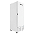 Refrigerador EVZ21 para Congelados Porta Cega Branca 561 LT BIVOLT - Imbera - Imagem 2